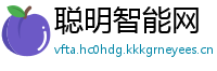 聪明智能网